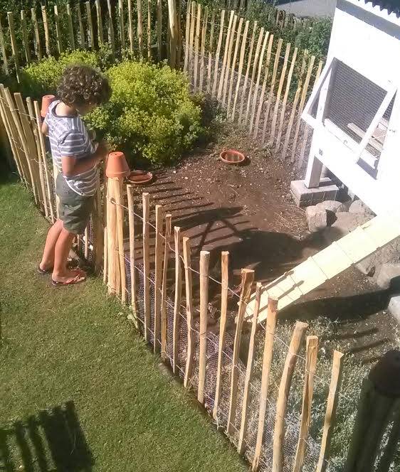 Außenanlage mit Hühnerstall in einem Garten.